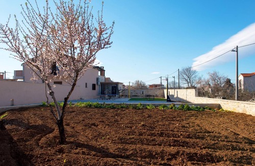 Novigrad Villa | Villa Kamen Zadarvillas
