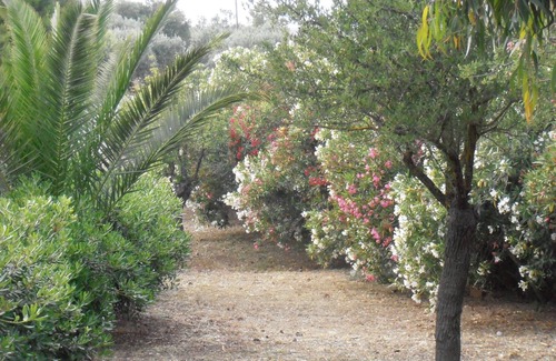 Ermionida Apartment | Villa KoKa - A small paradise near Ermioni