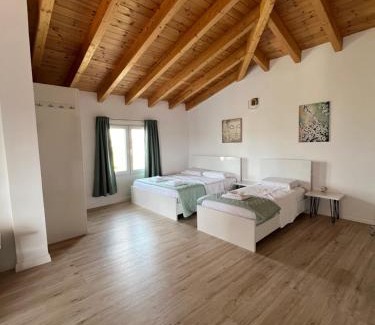 Kamez Apartment | Villa-Koka-2
