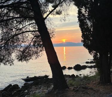 Pinezici Villa | Villa Korina