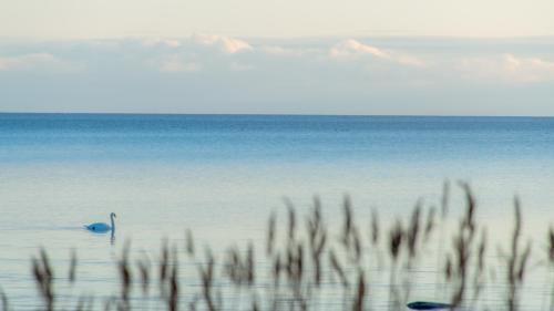 Kuressaare House | Villa Kuus Sõlme - Sea View Holiday Home