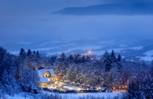 Transcarpathia Hotel | Villa Kvitka