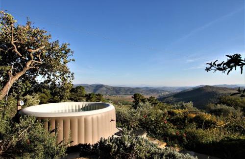 Passignano sul Trasimeno Apartment | Villa La Moraiola