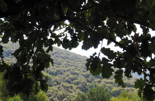 Casamicciola Terme Villa | Villa La Prua
