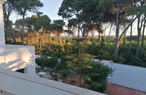 Bizerte Villa | Villa Lallazohra