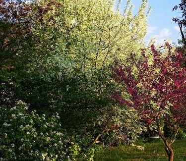 Thomery Bed & Breakfast | Villa le Cloky