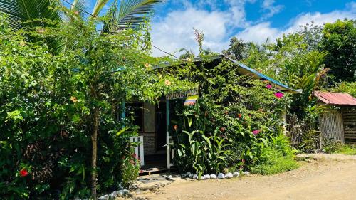 El Valle House | Villa Luz Ovelia