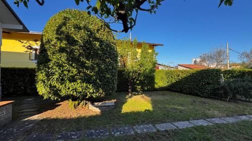 Isernia Villa | Villa Marvitt -Stone Cottage