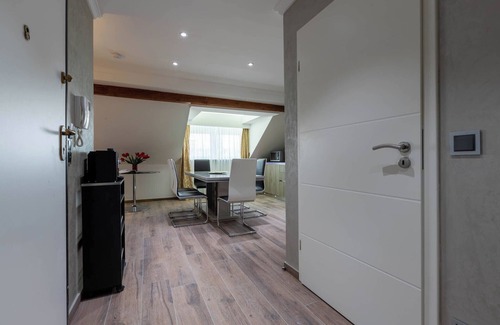 Hollerich Apartment | Villa Medici 31 Large One-Bedroom Apartment