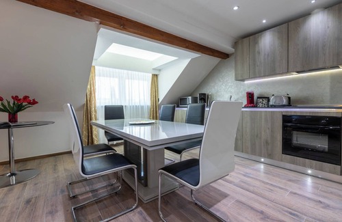 Hollerich Apartment | Villa Medici 31 Large One-Bedroom Apartment