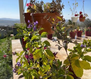 Samaxi House | VILLA MEYSARY