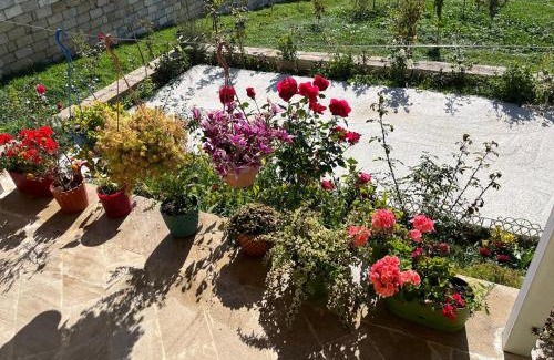 Samaxi House | VILLA MEYSARY