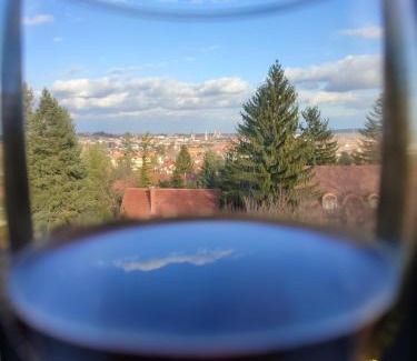 Sopron Bed & Breakfast | Villa Mimi