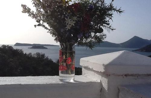 Lustica Villa | Villa Mirista