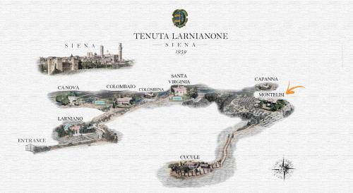 Siena Villa | Villa Montelisi
