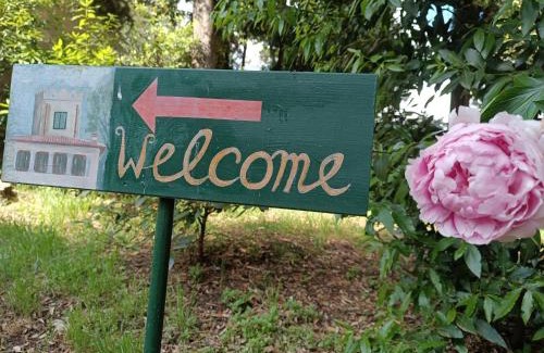 Romita Bed & Breakfast | Villa Moris bed and breakfast