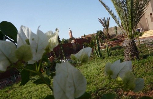 Mirleft House | Villa Mossa
