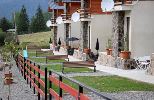 Bakuriani Villa | Villa Mtashi