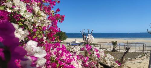 Atsimo-Andrefana House | Villa Nature