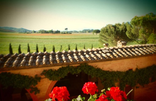 Monteroni d'Arbia Villa | Villa near Siena, 30% off for weeks from Sat to Sat