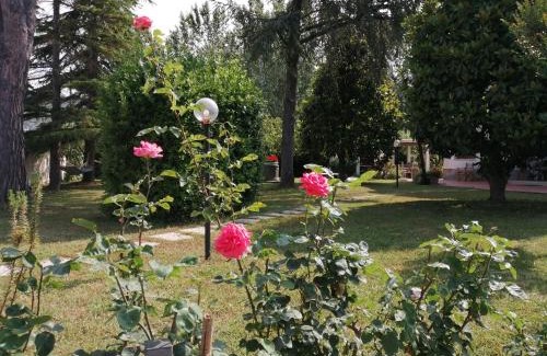 San Giuliano Terme Bed & Breakfast | Villa Oasi