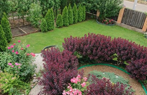 Krasnodar House | Villa of Roses