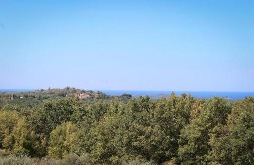 Visnjan Villa | Villa Olivetta by Istrian Country Houses