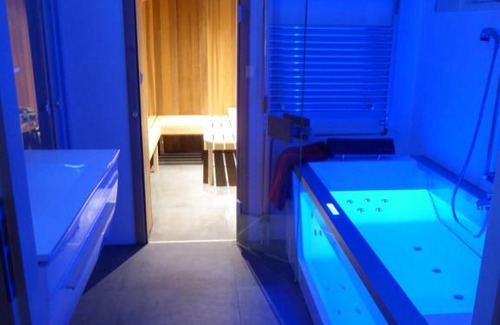 Julianadorp aan zee Villa | Villa Palm**** 4 Seasons