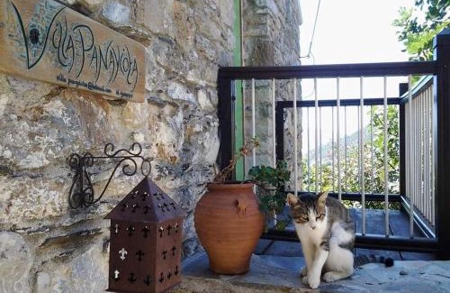 Alonnisos Old Town Apartment | Villa Panayiota