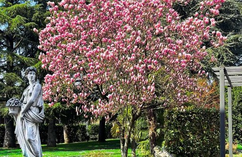 Lonato del Garda Villa | Villa Parco