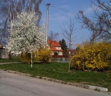 Piestany House | Villa Paris