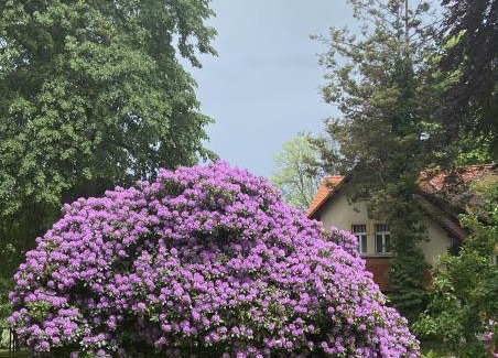 Swieradow-Zdroj House | Villa Parkowa 5