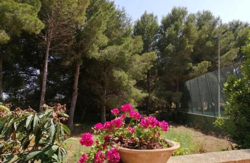 Benissa Villa | Villa Parra