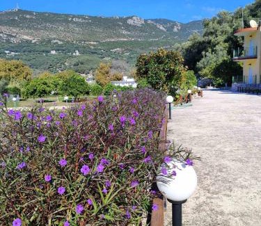 Parga Apartment | Villa Perkemes Apartments Parga