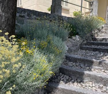 Magreglio House | Villa Pia Lena