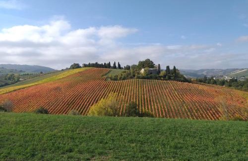 Albinea House | Villa Raffaella a Montericco
