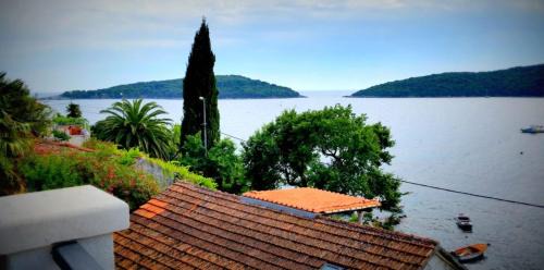 Molunat Apartment | Villa Riva