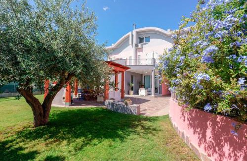 Torre degli Ulivi Bed & Breakfast | Villa Rosanna