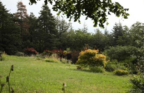 Saint-Romain-de-Lerps House | Villa Rouvesol