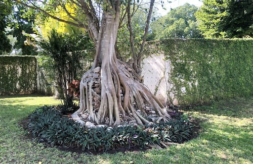 Izamal House | Villa San Antonio de Padua