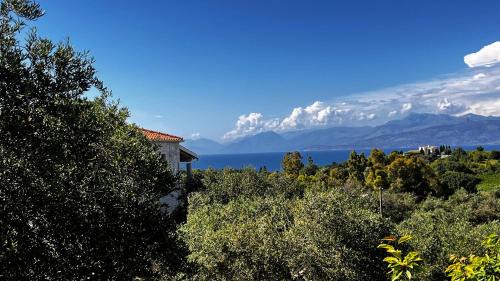 Petaleia Villa | Villa Sania