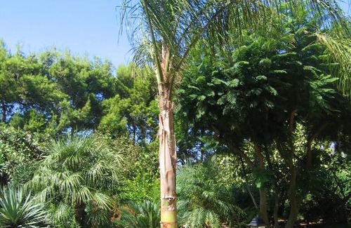Castelluzzo House | Villa Santa Margherita