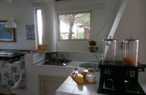 Vulcano Porto Hotel | Villa Saracina