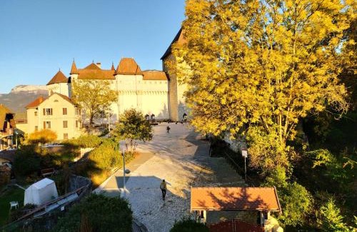 Annecy Old Town Apartment | VILLA SERANDITE maison de famille