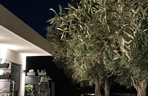 Borsh Apartment | Villa Shega