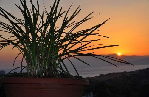 Pitsidia House | Villa Sofita