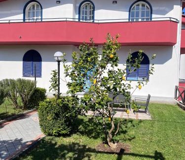 Piazza-Tralia-Pendolo Apartment | Villa Somma Apartments