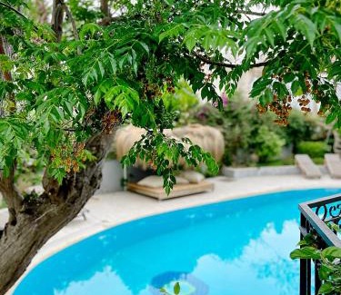 Armutalan Villa | Villa Sophia Marmaris