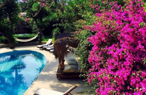 Armutalan Villa | Villa Sophia Marmaris