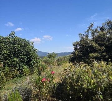 Crestet House | Villa spacieuse avec terrasse et vue Mont Ventoux